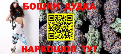 крисы Будённовск