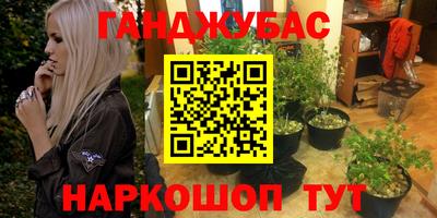 крисы Будённовск