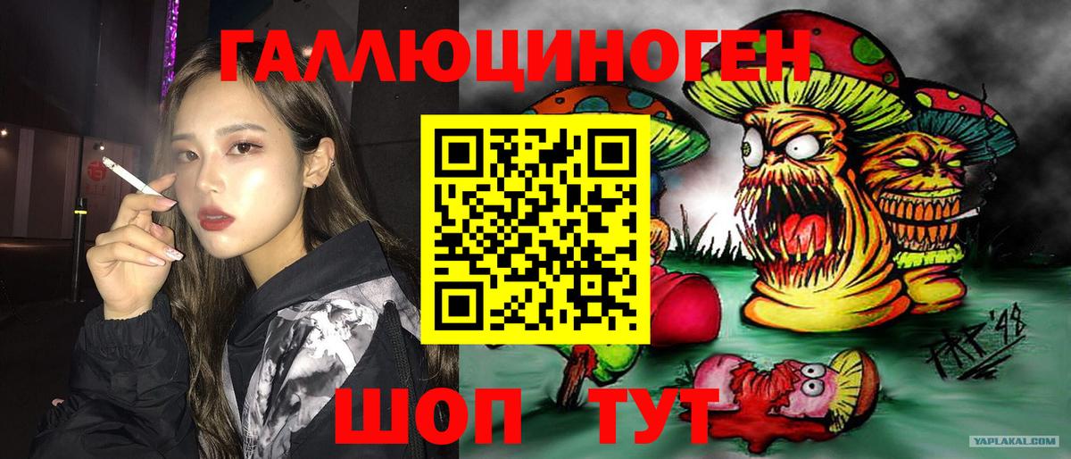 Псилоцибиновые грибы GOLDEN TEACHER  продажа наркотиков  Вход с VPN  Тимашёвск  Галлюциногенные грибы GOLDEN TEACHER 